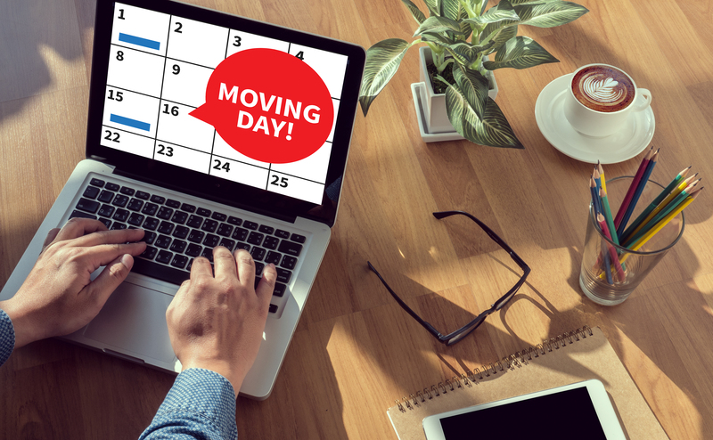 Practical van-based moving help for homes and offices