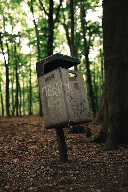 Photograph of a park with tall trees casting long shadows on the ground during late afternoon or early evening. The trees have green and yellow leaves, indicating an autumn setting. On the grassy area, several black garbage bags are stacked in groups, likely for waste collection or disposal. The sunlight filters through the foliage, creating a dappled light pattern on the ground. In the background, more trees and distant greenery are visible, with no other objects or structures present. This outdoor scene exemplifies waste management during a home or garden clearance as part of a household move, with the black bags ready for removal by a professional service such as Man with Van Raynes Park, supporting effective packing and moving logistics.