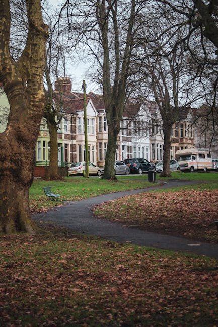 A paved pathway winds through a small, grassy park area with fallen leaves scattered across the ground. Several large, leafless trees with thick trunks are present, indicating a late autumn or early winter setting. In the background, residential houses with bay windows and pitched roofs are visible, along with parked cars on the street, including a white van which may be associated with [COMPANY_NAME] for local house removals. The scene is outdoors during daylight hours with overcast sky, and there is a blue park bench near the pathway, emphasizing the park environment. This setting reflects a typical urban or suburban area where furniture and belongings are often transported during home relocation, with the van potentially used for loading or unloading household items as part of a moving or packing process.